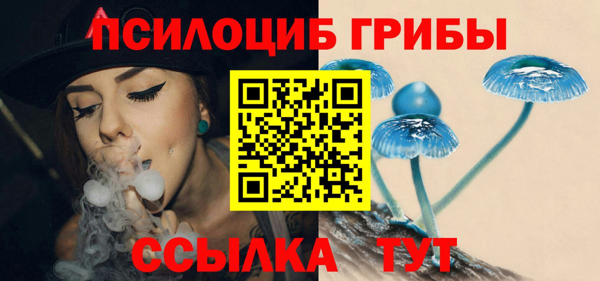 Псилоцибиновые грибы Psilocybe  Псилоцибиновые грибы Cubensis  Вход с VPN  Камышин 